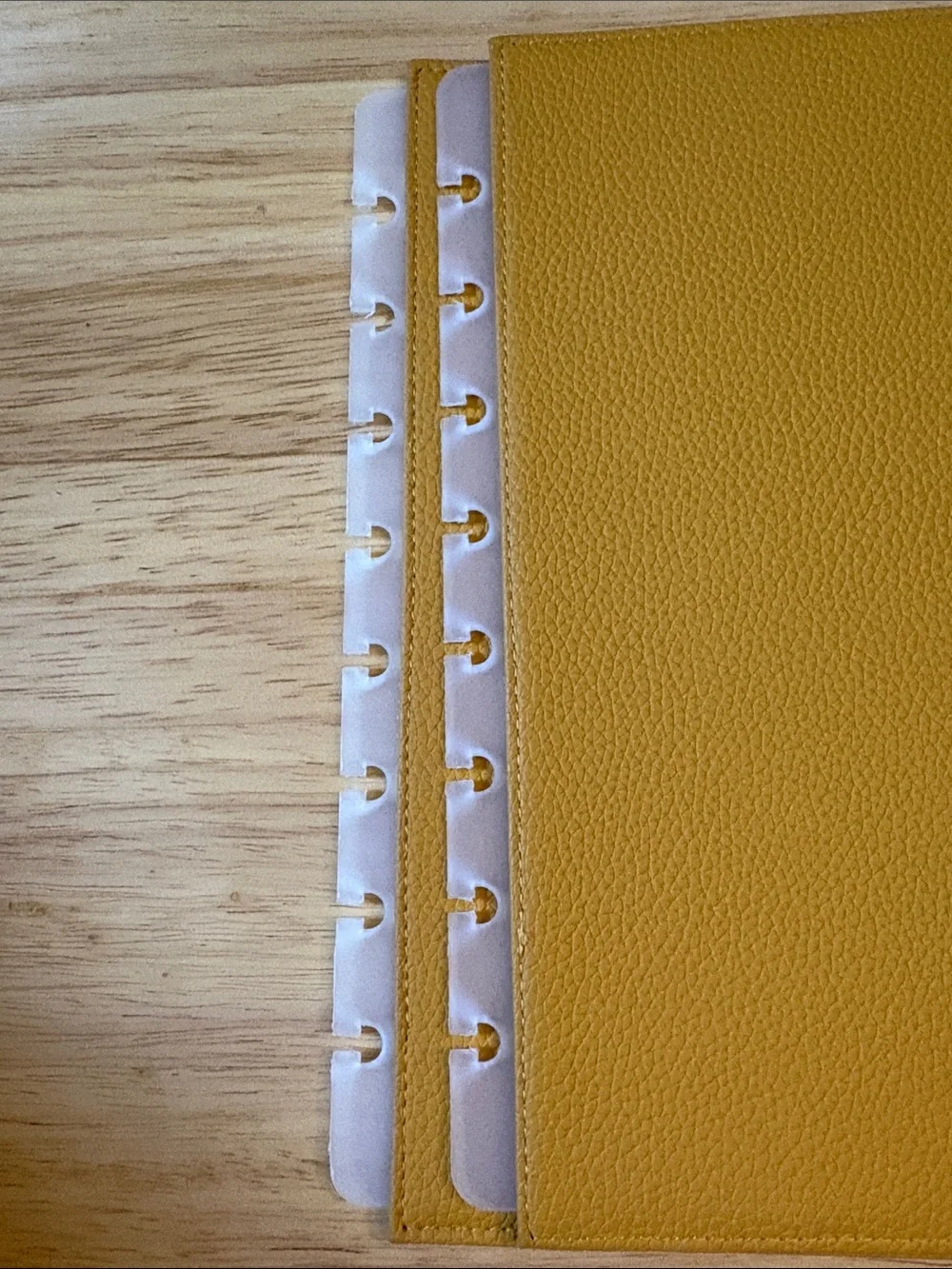 Jane’s Agenda Snap in Cover Saffron Yellow - Jr Discbound